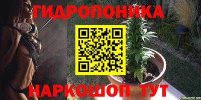 PSILOCYBIN Берёзовский
