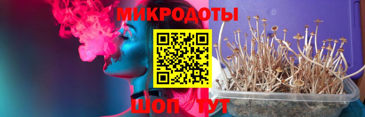 Иваново  Галлюциногенные грибы Psilocybe  Вход с VPN  Галлюциногенные грибы Cubensis 